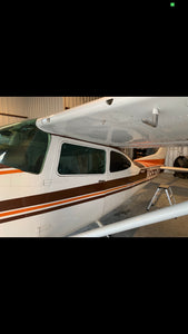 Cessna 172 Plane Tint