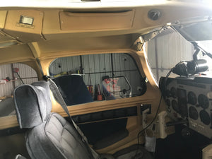 Mooney Plane Tint