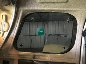 Mooney Plane Tint